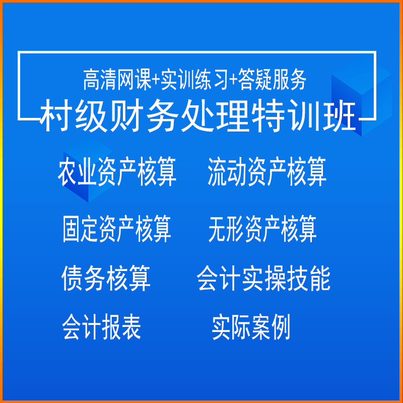 村级会计财务全盘账税务账务处理做账成本核算视频网课答疑服务