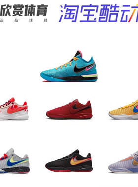 Nike/耐克 LeBron20 詹姆斯20 低帮防滑透气实战篮球鞋DJ5422-801