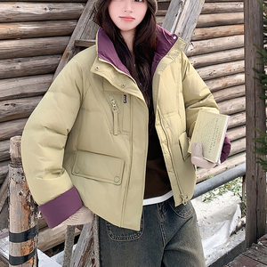 新品90绒羽绒服-2D118-6134-P265-K388图片