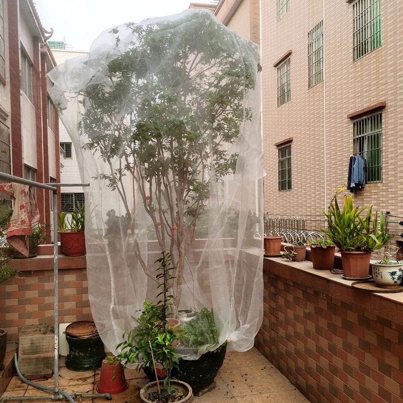 加厚防虫网罩花园蔬菜防鸟网套