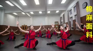 少数民族舞蹈服蒙古服节目表演两座山舞蹈服女马步北美艺考舞台服