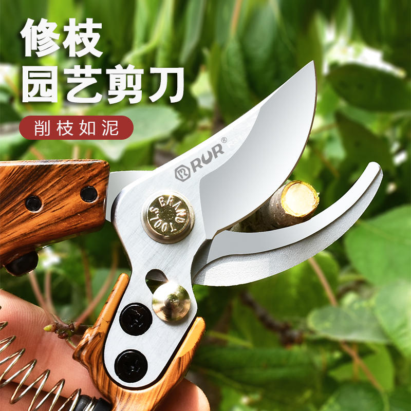 修枝剪园艺剪刀剪树枝专用剪刀