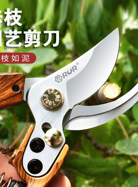 修枝剪园艺剪刀剪树枝专用剪刀粗枝剪园林修剪果树修枝花艺修花剪