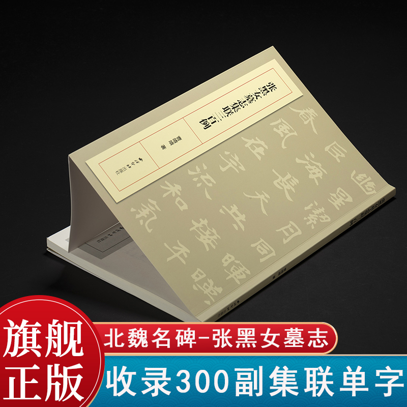 张黑女墓志集联三百例 集上百幅对联对子书法字帖作品集 楷书字帖初学者临摹入门毛笔书法范本临习 五六七八九十言联句附简体旁注