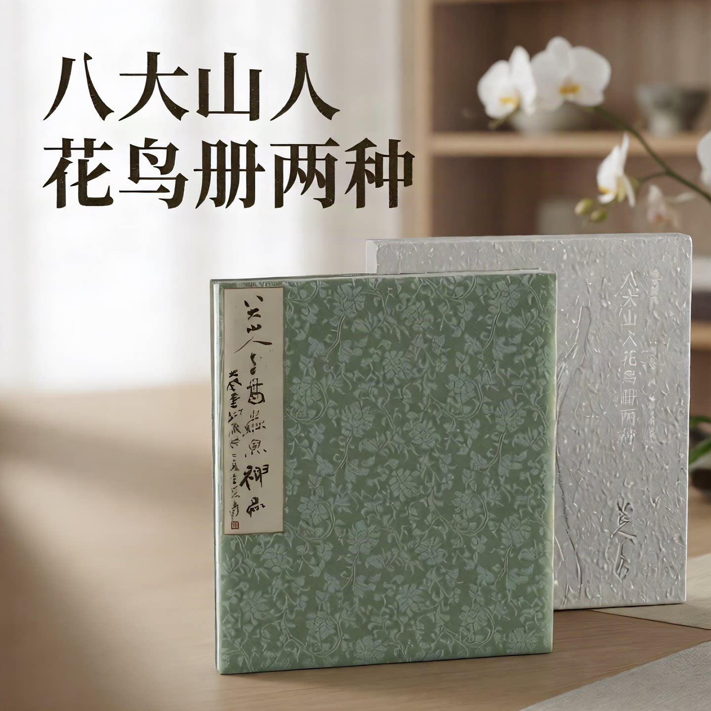 画苑掇英-八大山人花鸟册两种 原大原色精品画册丛书 花鸟虫鱼树木蔬果等绘画作品 国画水墨画花鸟画绘画艺术八大山人诞辰400周年