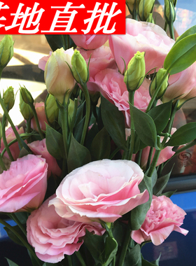 昆明洋桔梗基地直发花束云南玫瑰花百合鲜花家用水养花直批同城速