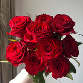 红色高原红瑰鲜花云南昆明基地直发同城速递多头泡泡情人节