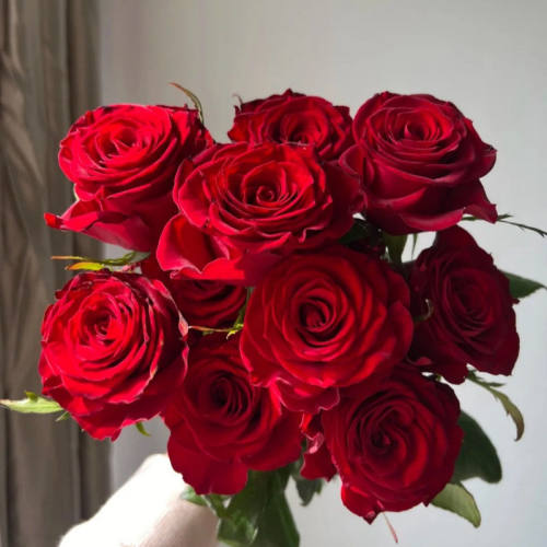 红色玫瑰混搭基地水养花直发百合同城速递送人礼物情人节