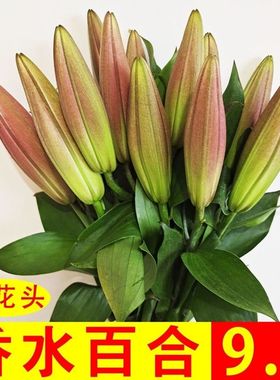 香水百合花束云南昆明玫瑰花基地直发鲜两用直批家用同城速递包邮