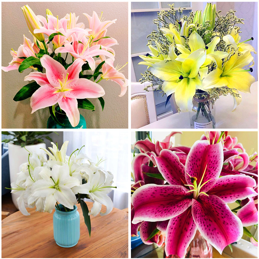 香水百合花鲜花花束云南基地直发水养花同城速递白多头玫瑰情人节