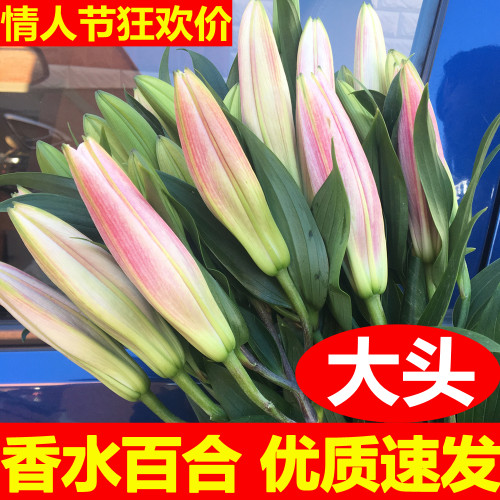 蔷薇花束价格 多少钱 蔷薇花束价格 多少钱