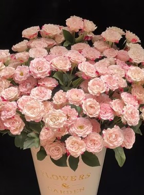 折射多头玫瑰鲜花鲜花云南基地直发鲜花水养家用速递包邮元旦节