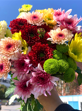 小雏菊鲜花花束云南昆明基地直发百合速递同城家用水养鲜切花玫瑰