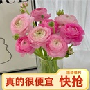 洋牡丹鲜花水养鲜切花云南昆明基地直发同城速递百合花束家妇女节