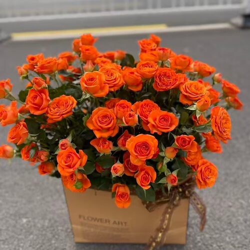 橙色芭比多头泡泡玫瑰鲜花云南昆明基地直发水养家用520母亲节