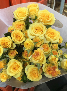 梦幻多头泡泡小玫瑰云南昆明基地直发鲜花花束百合向日葵同城速递