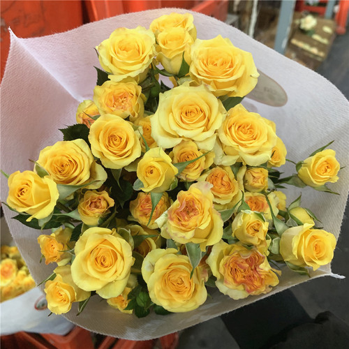 梦幻多头泡泡小玫瑰云南昆明基地直发鲜花花束百合向日葵同城速递