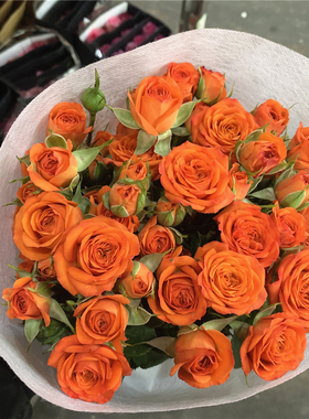 橙芭比多头玫瑰鲜花鲜花云南基地直发鲜花水养家用速递包邮情人节