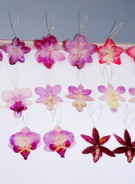 原创真花耳环手工蝴蝶兰压花干花滴胶耳环森系超仙小众耳坠耳饰