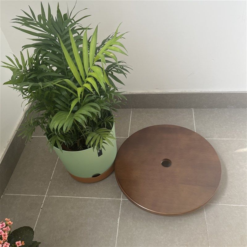 实木带刹车万向轮静音移动花盆托盘加厚圆形带滚轮鱼缸底座花托架,鲜花速递/花卉仿真/绿植园艺,花托/移动托盘,淘宝优惠券,粉丝福利购,淘宝优惠卷