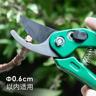 日本ECHO家用盆景花卉剪刀树枝花艺花剪园艺剪刀园林修枝剪果树剪