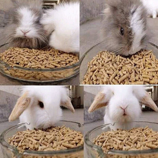 直销兔粮长毛兔宠物兔小幼兔成兔母兔豚鼠荷兰猪兔子饲料养殖专用