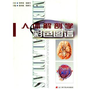 9787538166538 辽宁科学技术出版 霍琨 包邮 著 韩秋生 人体解剖学彩色图谱第二版 徐国成 正版 社
