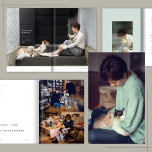 包邮 公司 遇见你陪伴你 北京联合出版 孙俪 9787559626455 正版