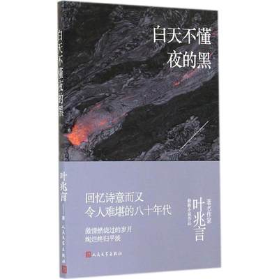 正版包邮  白天不懂夜的黑 9787020106349 人民文学出版社 叶兆言