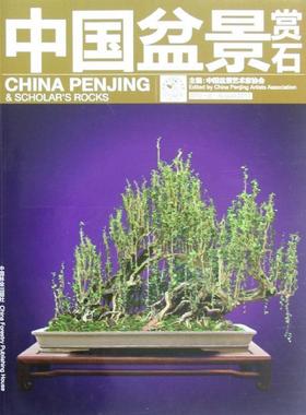 正版包邮  中国盆景赏石·2012.8 9787503867262 中国林业出版社 中国盆景艺术家协会　主编