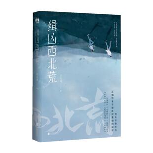 正版包邮  中国当代长篇小说：缉凶西北荒（全2册） 9787559657541 白云诗 北京联合出版有限责任公司