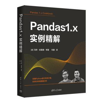 正版包邮  pandas1.x实例精解 9787302609605 [美]马特·哈里森 等著,刘鹏 译 清华大学出版社