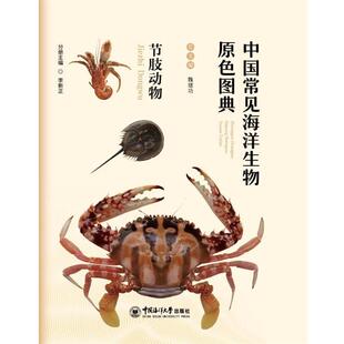 正版包邮 中国常见海洋生物原色图典 节肢动物 9787567017504 李新正 中国海洋大学出版社