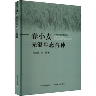 正版包邮  春小麦光温生态育种 9787109300361 中国农业出版社有限公司 肖志敏等