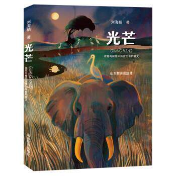 正版包邮  国际文学奖得主力作：光芒【四色】 9787570119134 刘海栖 山东教育出版社