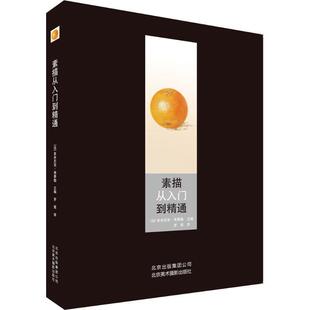 正版包邮 素描从入门到精通 9787805015804 (法)弗费勒 主编,罗茜 译 北京美术摄影出版社