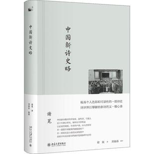 正版包邮  中国新诗史略 9787301284056 谢冕 北京大学出版社