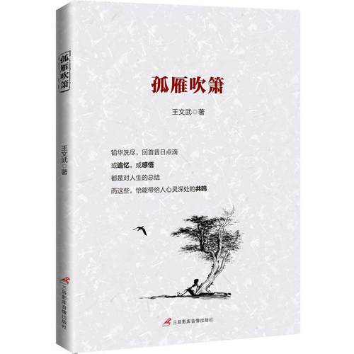 正版包邮  孤雁吹箫 9787830003432 三辰影库音像出版社 王文武 著