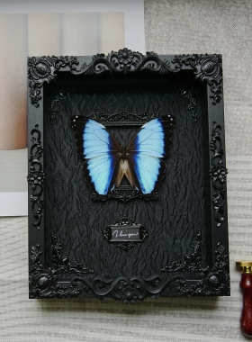 梦幻闪蝶蝴蝶标本相框成品展翅展示框昆虫名贵罕见蓝色生日礼物