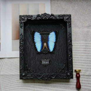 梦幻闪蝶蝴蝶标本相框成品展翅展示框昆虫名贵罕见蓝色生日礼物