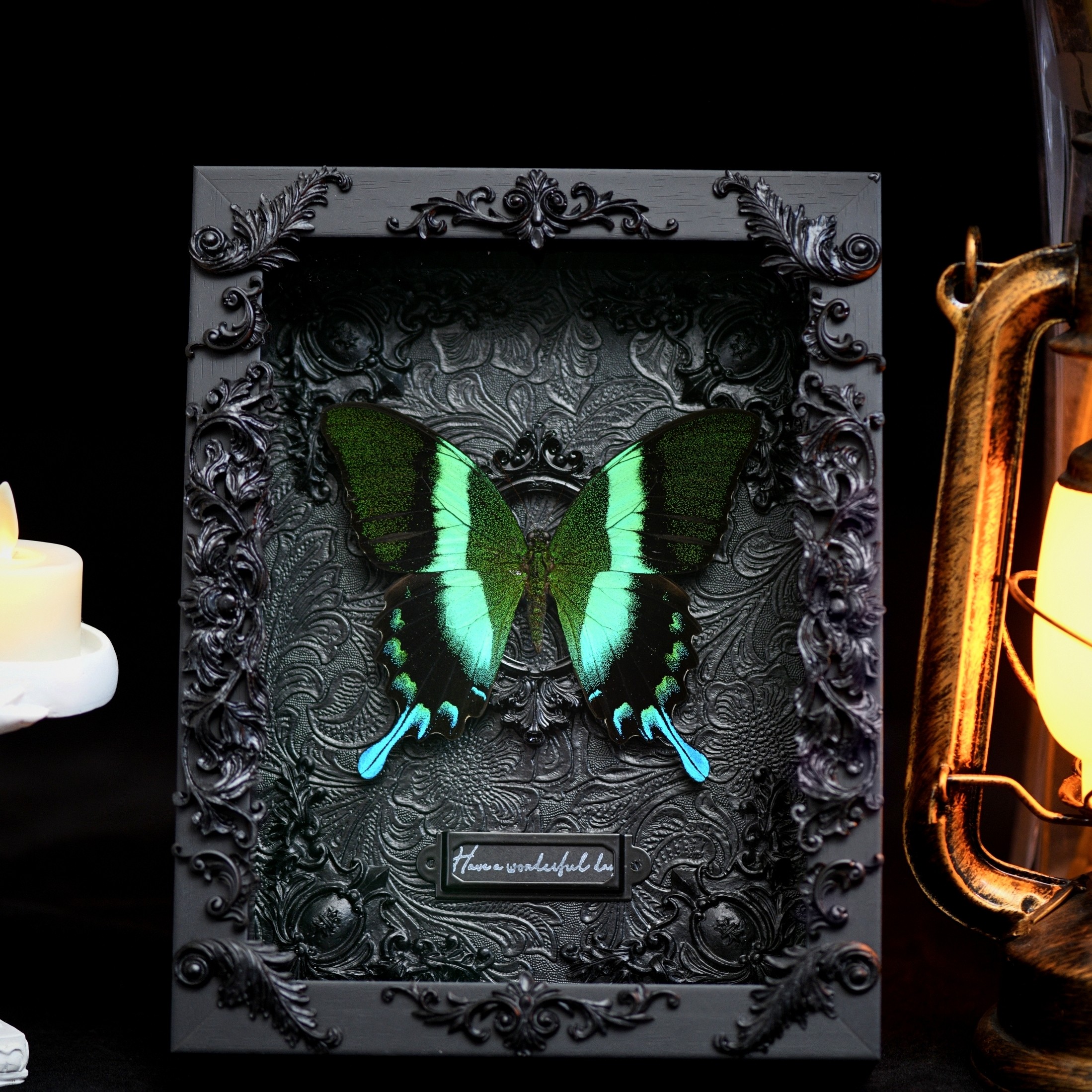 蝴蝶标本爱神凤蝶真蝴蝶天然暗黑金属哥特风家居摆件相框定制礼物,家居饰品,标本类装饰画,淘宝优惠券,粉丝福利购,淘宝优惠卷