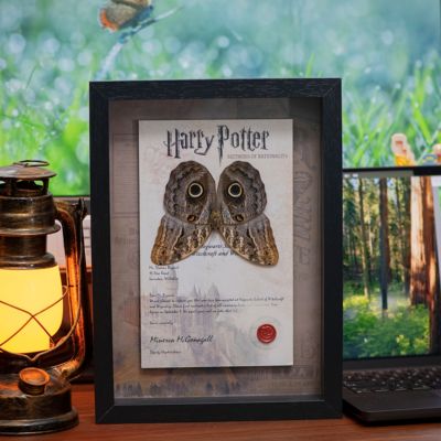 Papillon手作猫头鹰环蝶装饰画