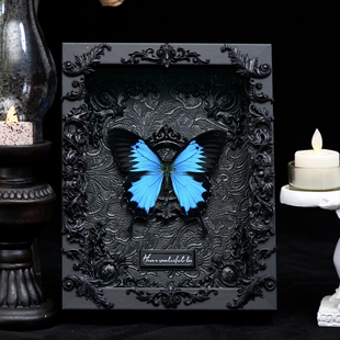天堂凤蝶蝴蝶标本黑暗真蝶蝶标本复古框标本情侣礼物摆件生日毕业