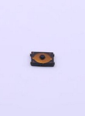 EVPAF7B70 轻触开关 3*2.6*0.7mm 立贴 轻触开关 SMD,2.6x3mm