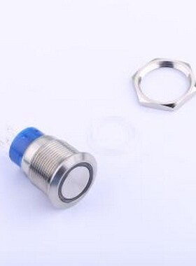 ATP19-SL1-324-B0SE-03Q 按键开关 19MM防破坏密封按动开关 三件