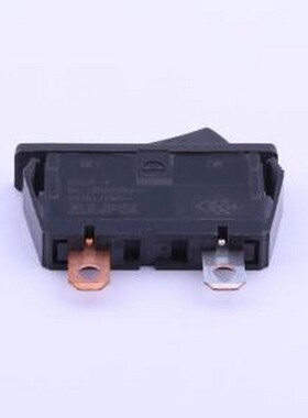 SDDJF1A100 船型开关 SDDJF1A100 插件