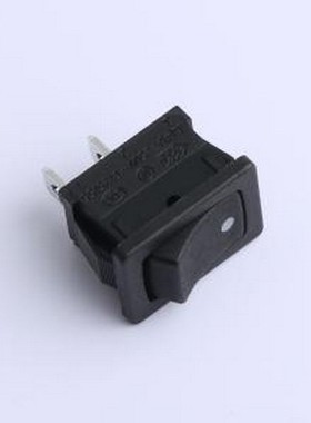 SS11-BBDWG-R20-R 船型开关 翘板开关 插件