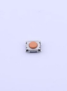 RKCGG140SMTRLFS 轻触开关 RKCGG140SMTRLFS SMD