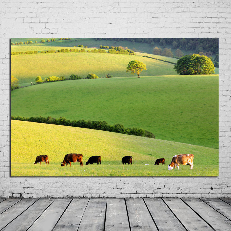 定制大草原风景画海报牛羊吃草树木绿地自然田园风光装饰墙壁画芯