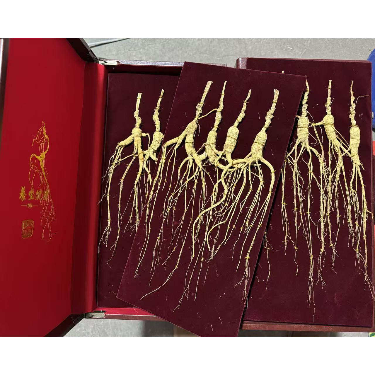 东北特产野山参礼盒长白山人参粉野山参粉林下老山参